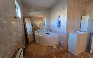 Vilă elegantă și casă independentă pentru oaspeți - Banesti - Poză 26