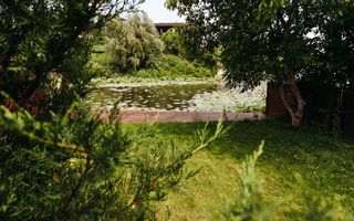 Casă cu piscină și ieșire la lacul Snagov - Poză 14