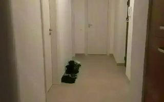 Apartament 3 camere.  Decomandat. Cu 2 bai si 2 balcoane. Grand Arena. - Poză 2