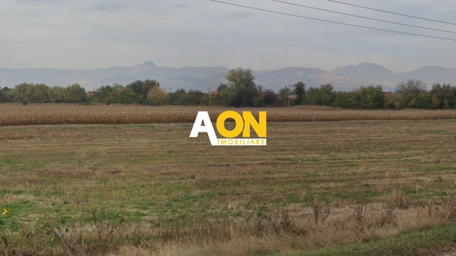 Teren intravilan industrial 5800 mp, Oiejdea, la asfalt - Poză 1