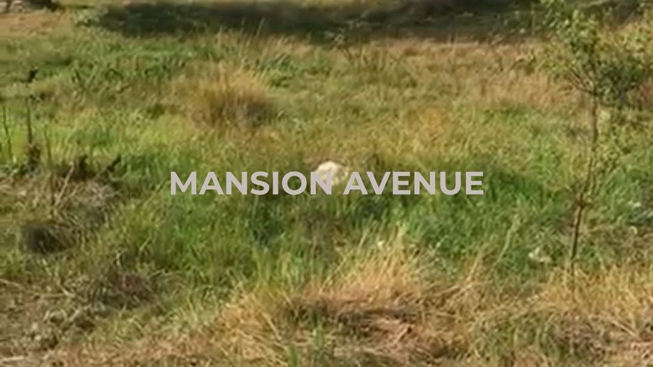 Teren intravilan 1.433 m.p. in Lunca, jud. Tulcea - Poză 4