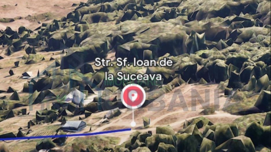 Teren de 3000 mp în Tomesti, în apropierea pădurii - Poză 3