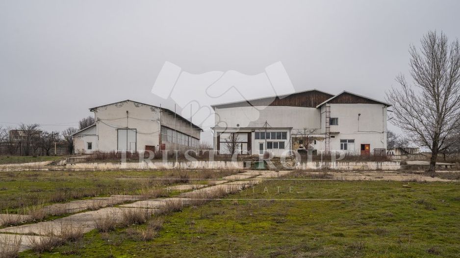 Teren 28.788m + Hale industriale + Sediu Firma - Poză 33