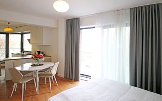 Studio de Lux *52mp * / Aviației-Herastrau - Poză 18