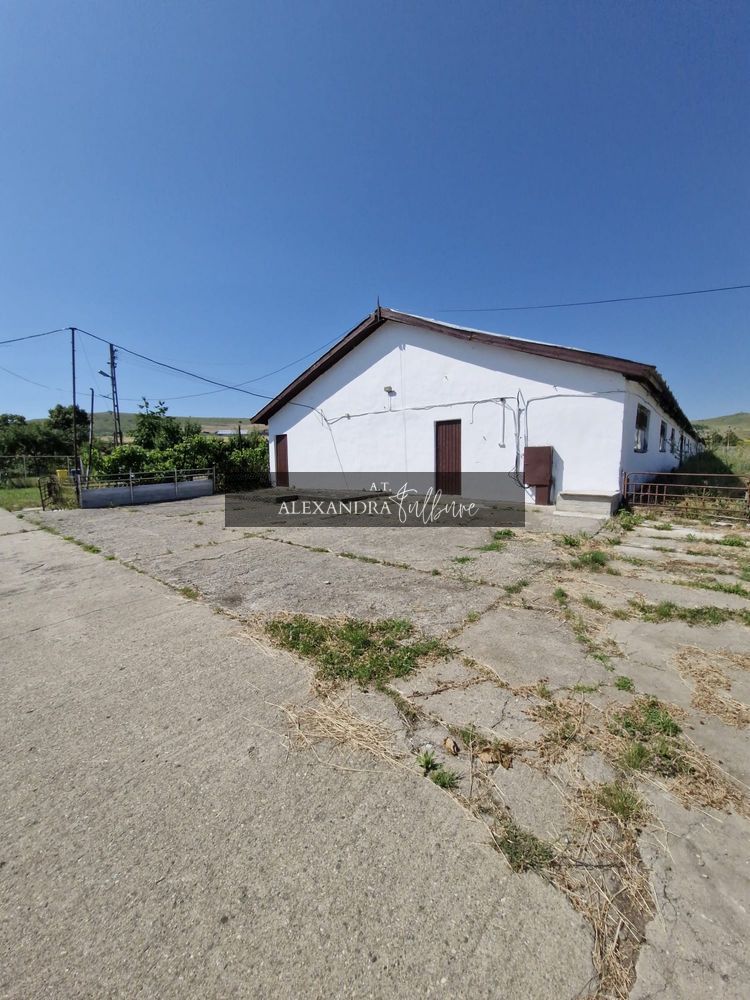 Teren 43884 mp intravilan, 4 hale 6000 mp, nod autostrada, Bogata - Poză 3