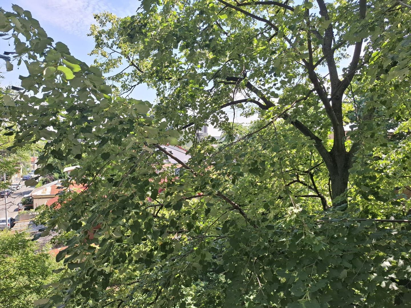 Bloc stradal, REABILITAT, vedere mixta, FARA RISC SEISMIC, NEGOCIABIL - Poză 9