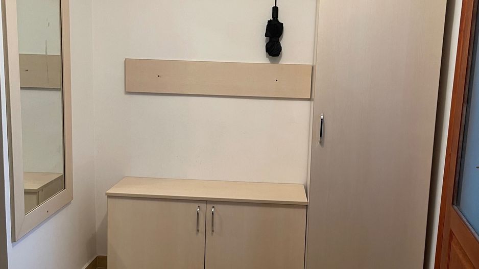 Apartament 3 camere, complet mobilat si utilat, Gorjului - Lujerului - Poză 8