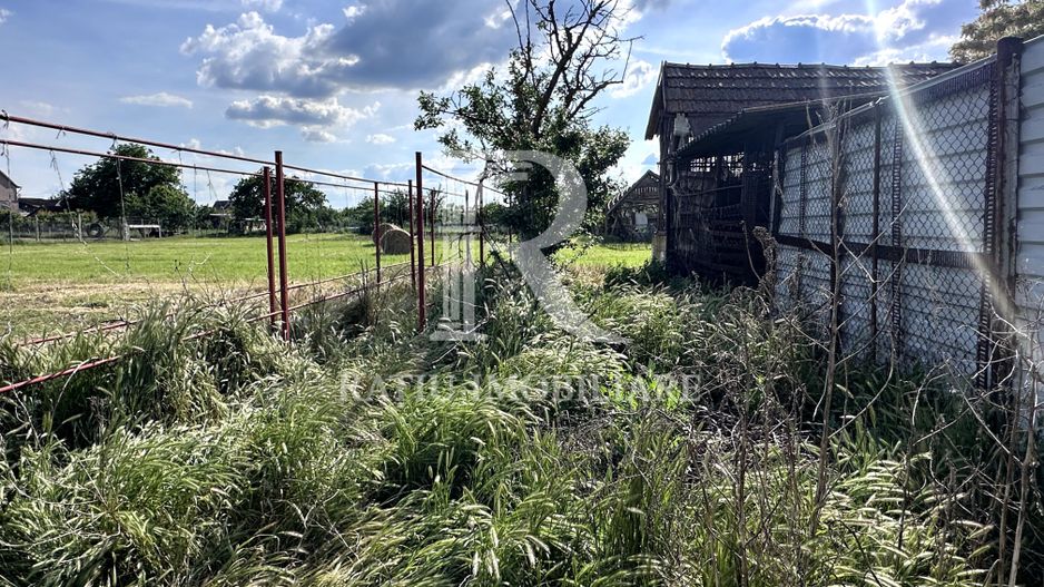 Casa cu anexe si pivniță | Teren intravilan generos | Sannicolau Roman - Poză 28