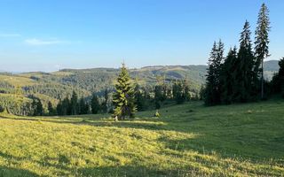 50 hectare teren | Moldova-Sulita | Potential turistic si agricol - Poză 17