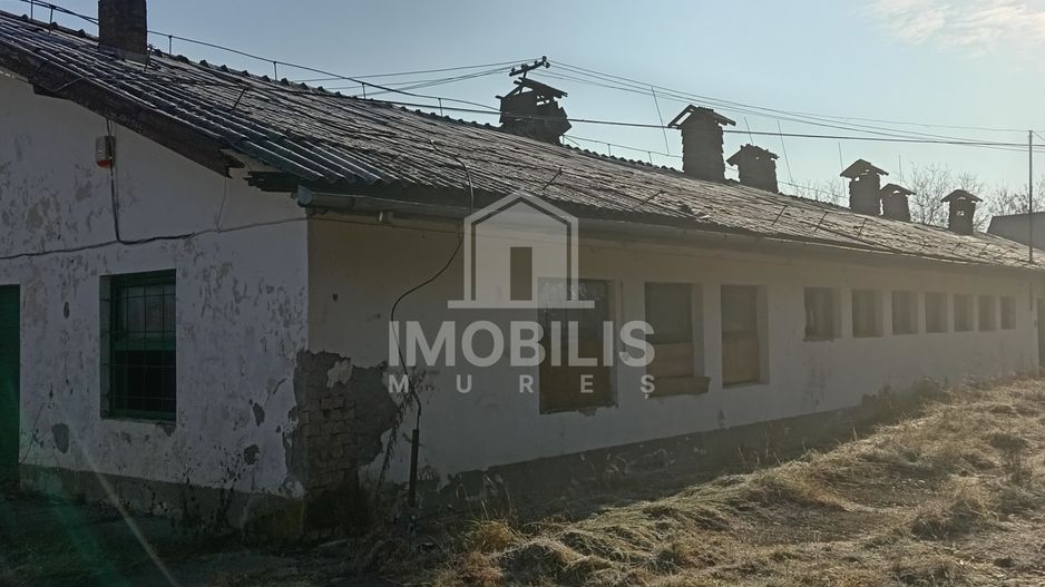 Teren intravilan I 13134 mp I cu potențial de business | zona Budiu - Poză 5