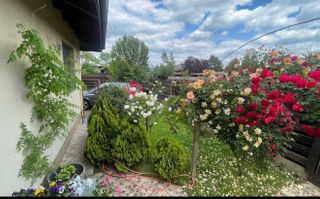 Vânzare casa nouă Balotești - Poză 2