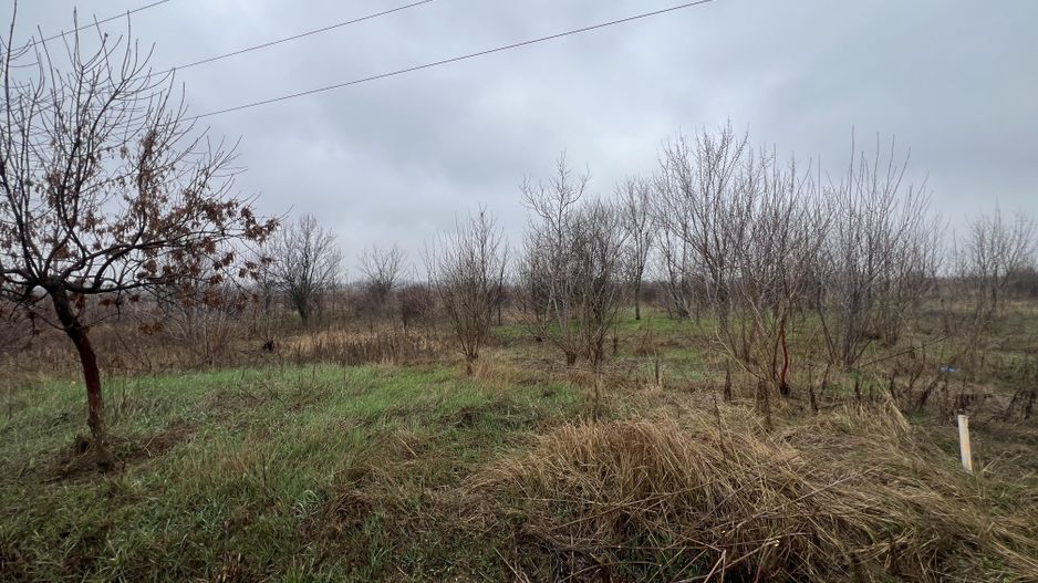 Teren la DN7 - ideal investitie (Benzinarie, spalatorie, hala) - Poză 7