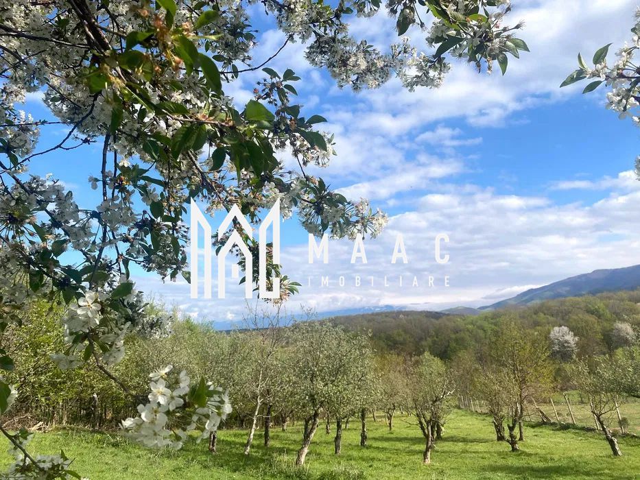 Teren intravilan I 3370 mp I PUZ pentru P+2 I Zona  Cisnadie - Poză 5