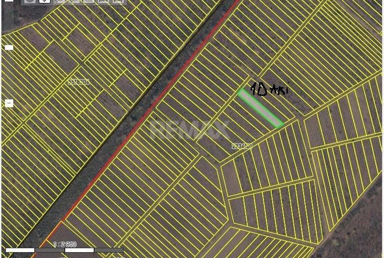 Oportunitate de Investiție – Teren Agricol 35 Ari în comuna Răzeni, r. Ialoveni - Poză 6