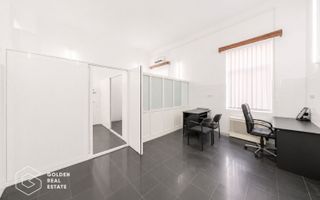 Cabinet medical, 200mp, parter+subsol-Policlinica Speciala, Boul Rosu - Poză 12