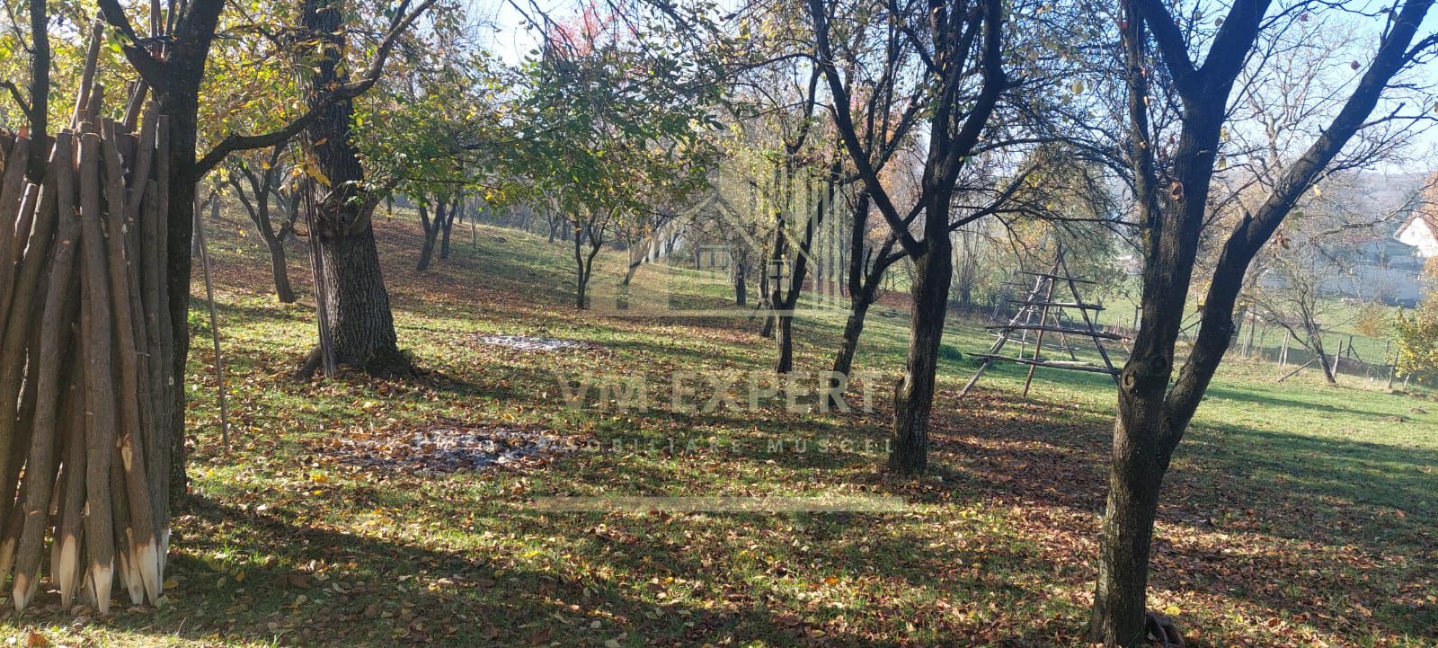 TEREN INTRAVILAN 3000 MP, CAMPULUNG - Poză 5