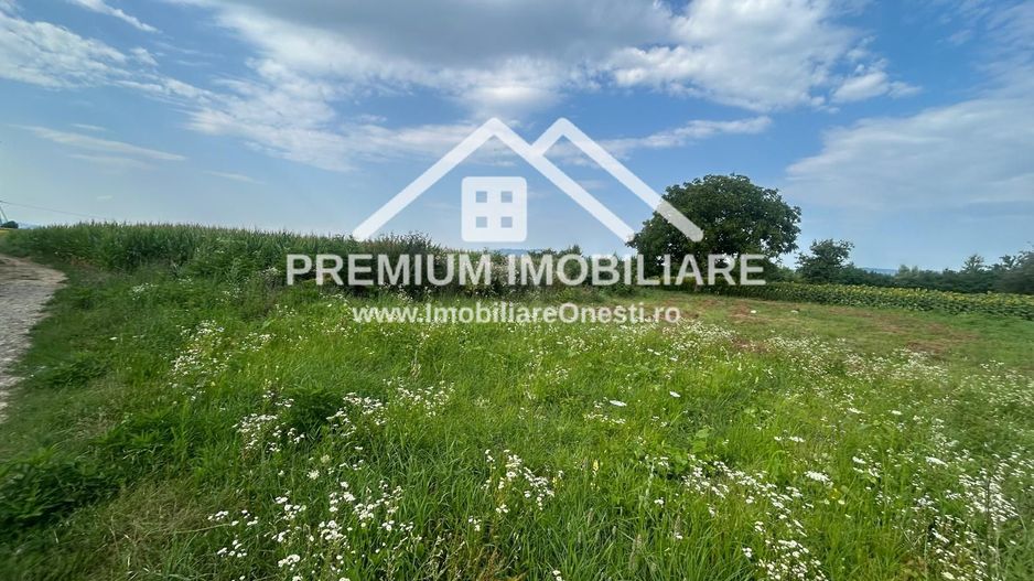 De vânzare teren în comuna Buciumi - Poză 4