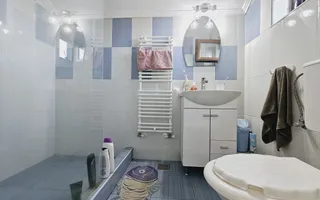 Casa individuala | 227 mp | Mobilata | Toate utilitatile | Cetate - Poză 13
