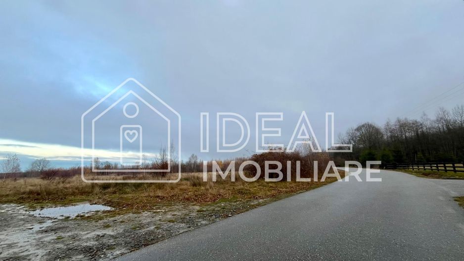 Teren extravilan 6.500 mp – Cârțișoara | Comision 0% - Poză 1