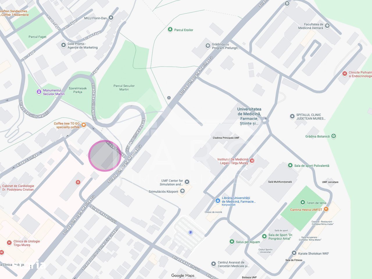 Apartament 2 Camere de Inchiriat Cornisa - UMFST - Spital - Platou - Poză 8