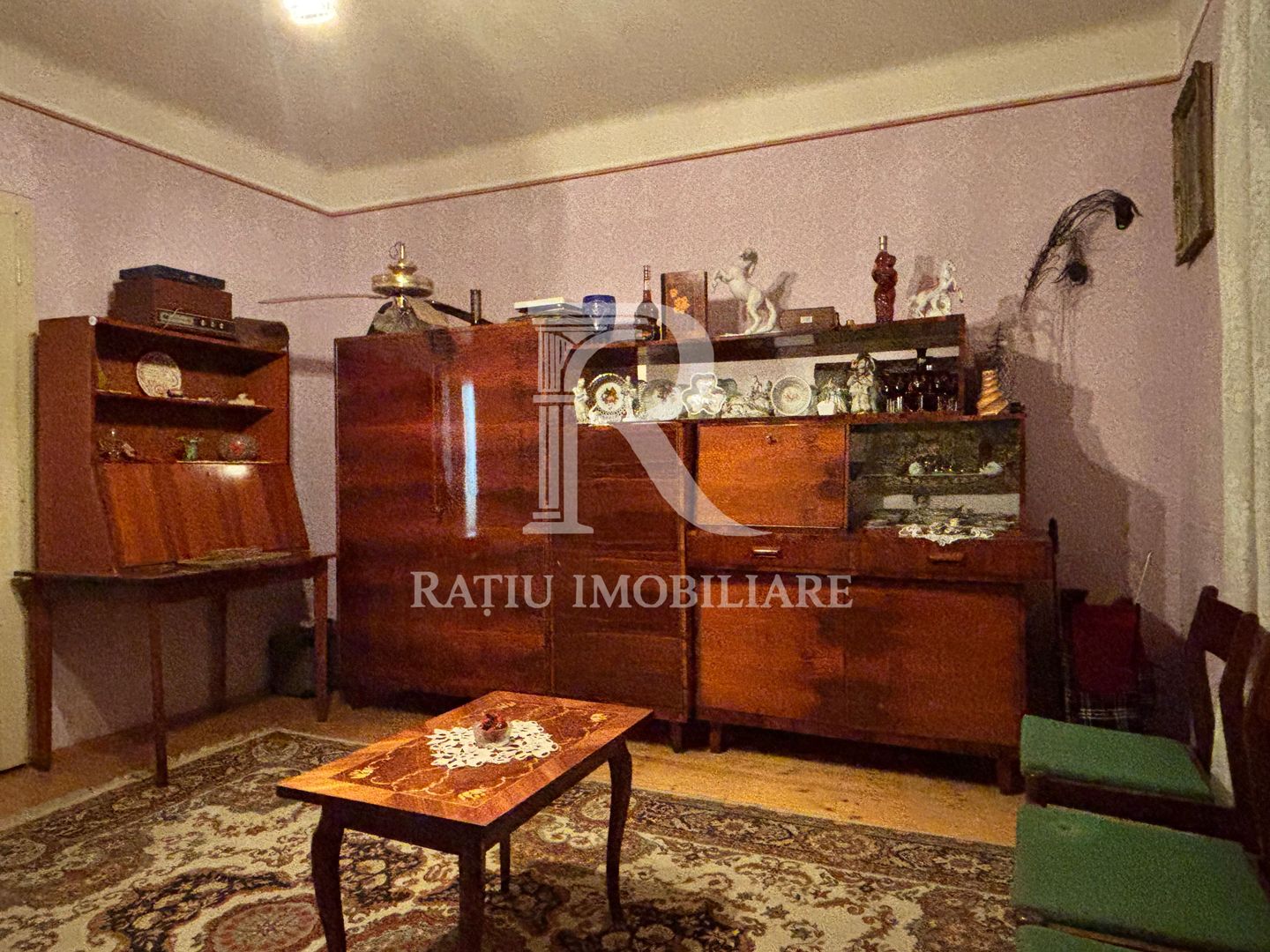 Casă cu etaj în Salonta | 996 mp | Grădină & livadă - Poză 11
