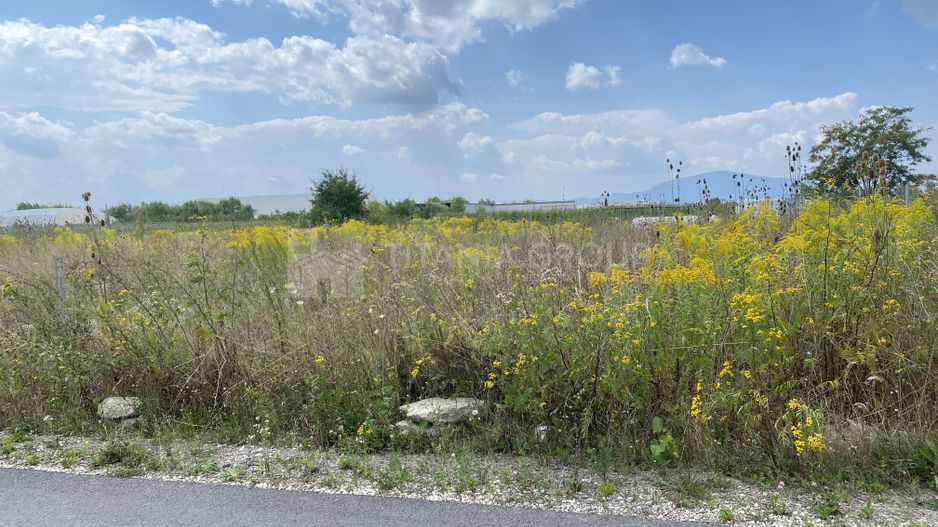 Teren industrial, POT 50%,  acces TIR,  1000 mp, asfalt, COMISION 0 - Poză 4