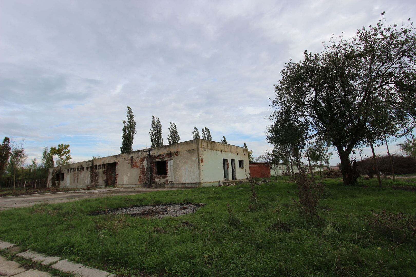 Vanzare hale Mosnita Noua-fosta Ferma 7 - Poză 36