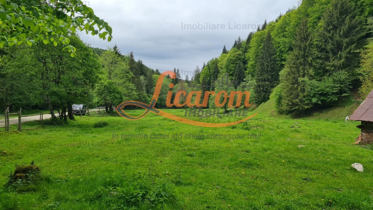 13005 mp teren faneata in Bran Simon cu fornt de 57 mp - Poză 6