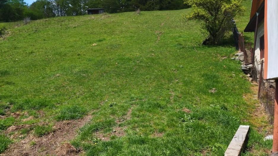 NAMAESTI - Valea Mare Pravat, 7000 mp. teren intravilan, ideal locuinta - Poză 6