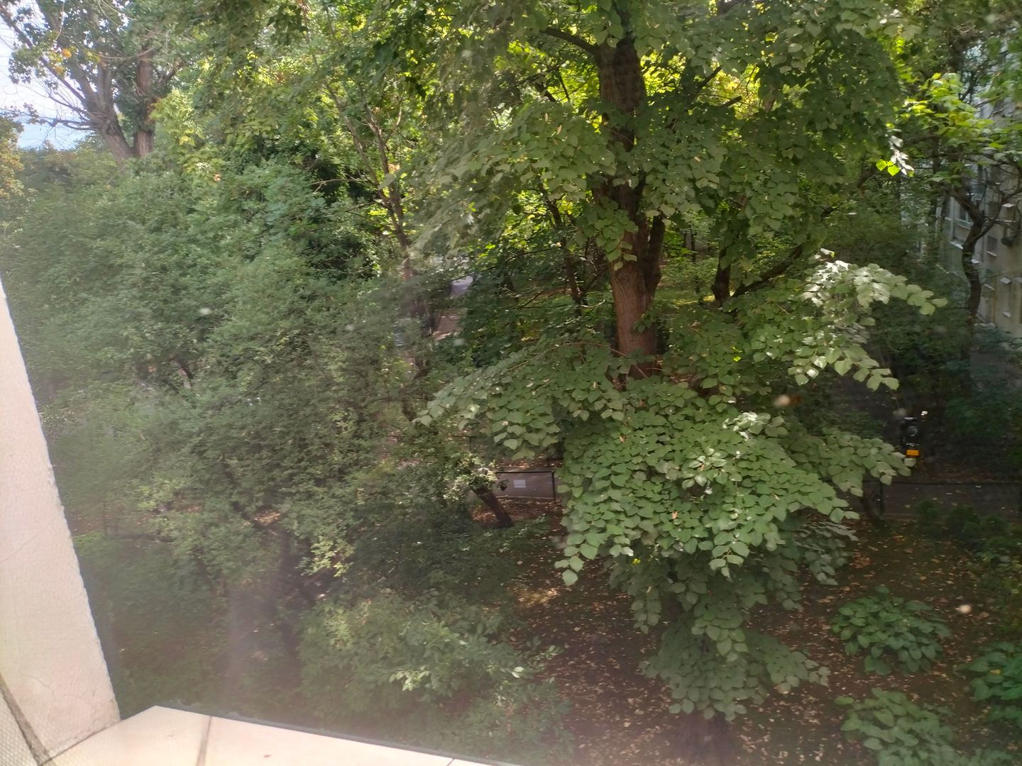 Apartament  Luminos 3 camere. Bld. Brancoveanu. - Poză 4