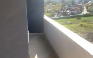 Apartament 2 camere decomandat, intabulat, mobilat si utilat, Iasi - Poză 8