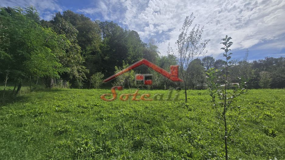Oportunitate de investiție în Breaza – teren intravilan de 3.591 mp - Poză 4