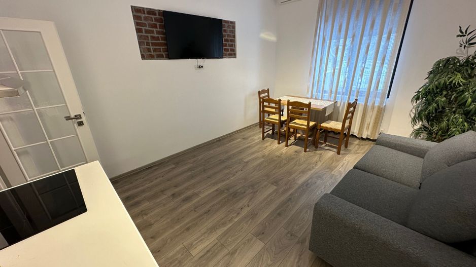 Casa Lipovei transformata in SAD - Poză 3