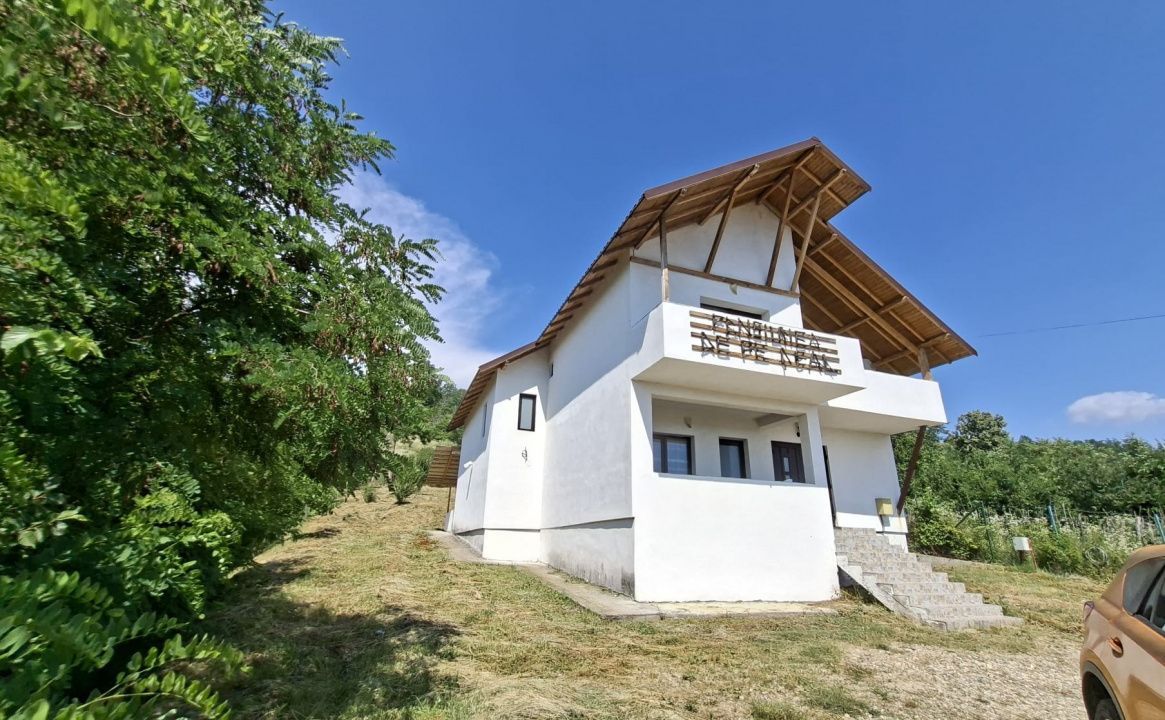 Casă-Pensiune Agroturistica spatioasa P+M Budeasa cu vedere la lac - Poză 17