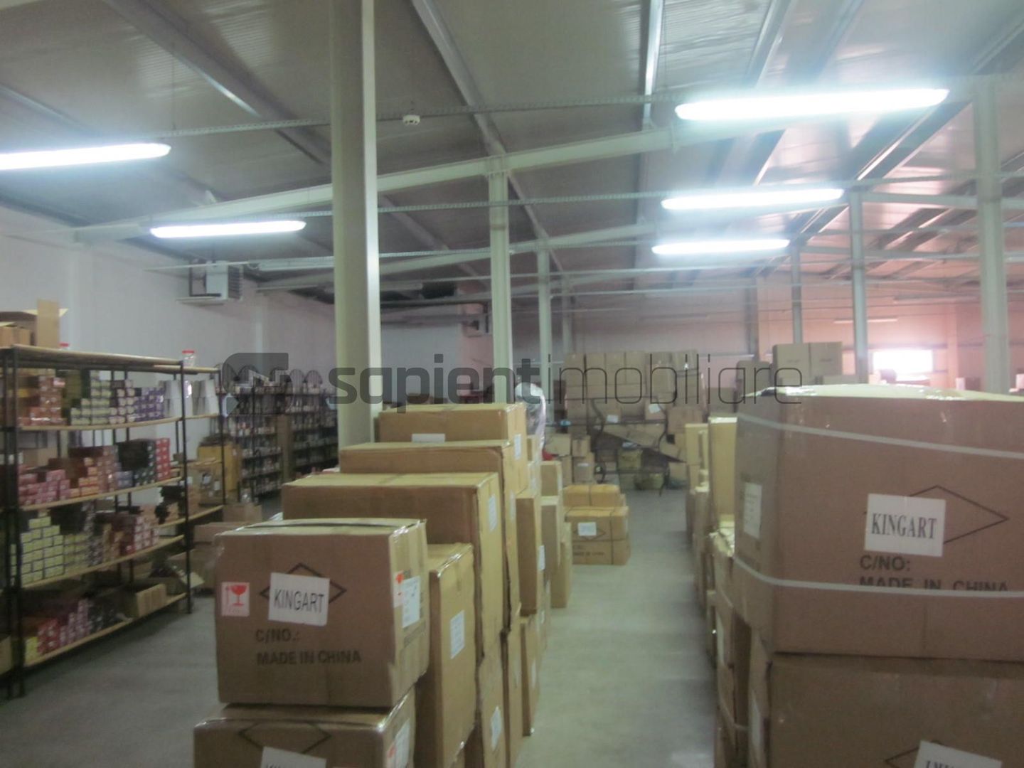 Sapient | Hală Industrială – loc. Borș, jud. Bihor - Poză 4