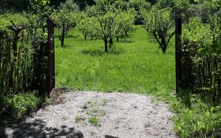 Teren de vanzare - Extravilan - 4288mp - Gusterita - 0% Comision - Poză 5