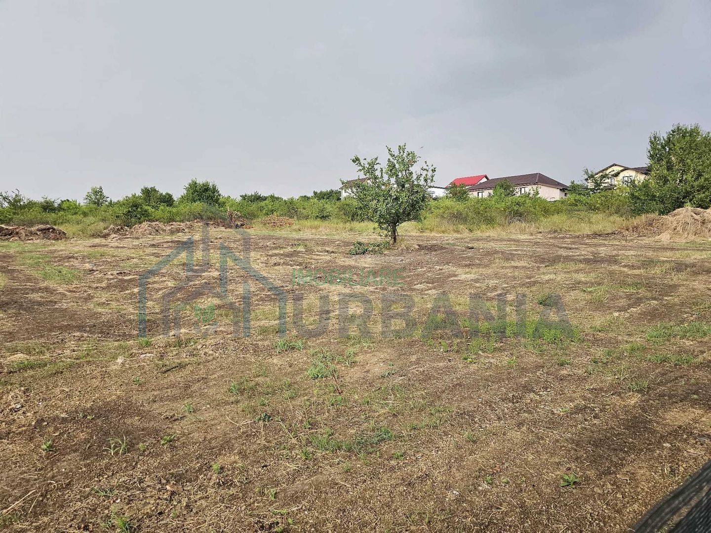 Teren intravilan 2.212 mp Miroslava – 5 Drumuri Asfalt + utilități - Poză 2