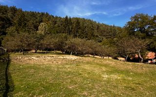 Teren Moieciu 8206 mp - Oportunitate de investitie - Poză 9