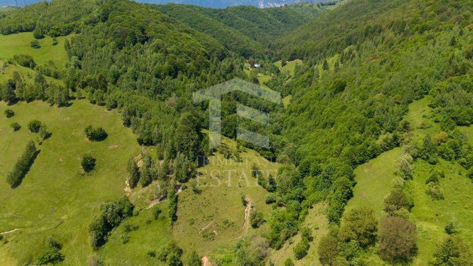 Moieciu de Jos |Teren 11.381 mp | Panoramă, potențial turistic - Poză 9