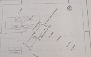 Teren intravilan 2.500 mp – Adunații Copăceni | Container inclus + puț - Poză 2