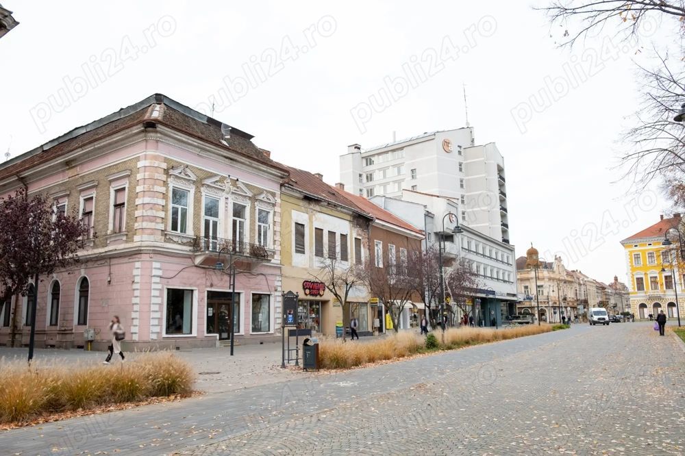 Spatiu Comercial Satu Mare - Poză 1