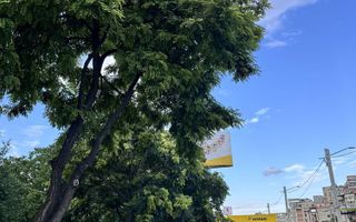 Spațiu comercial de închiriat – 117 mp – Capăt Păcurari, Iași – 13 €/mp - Poză 3