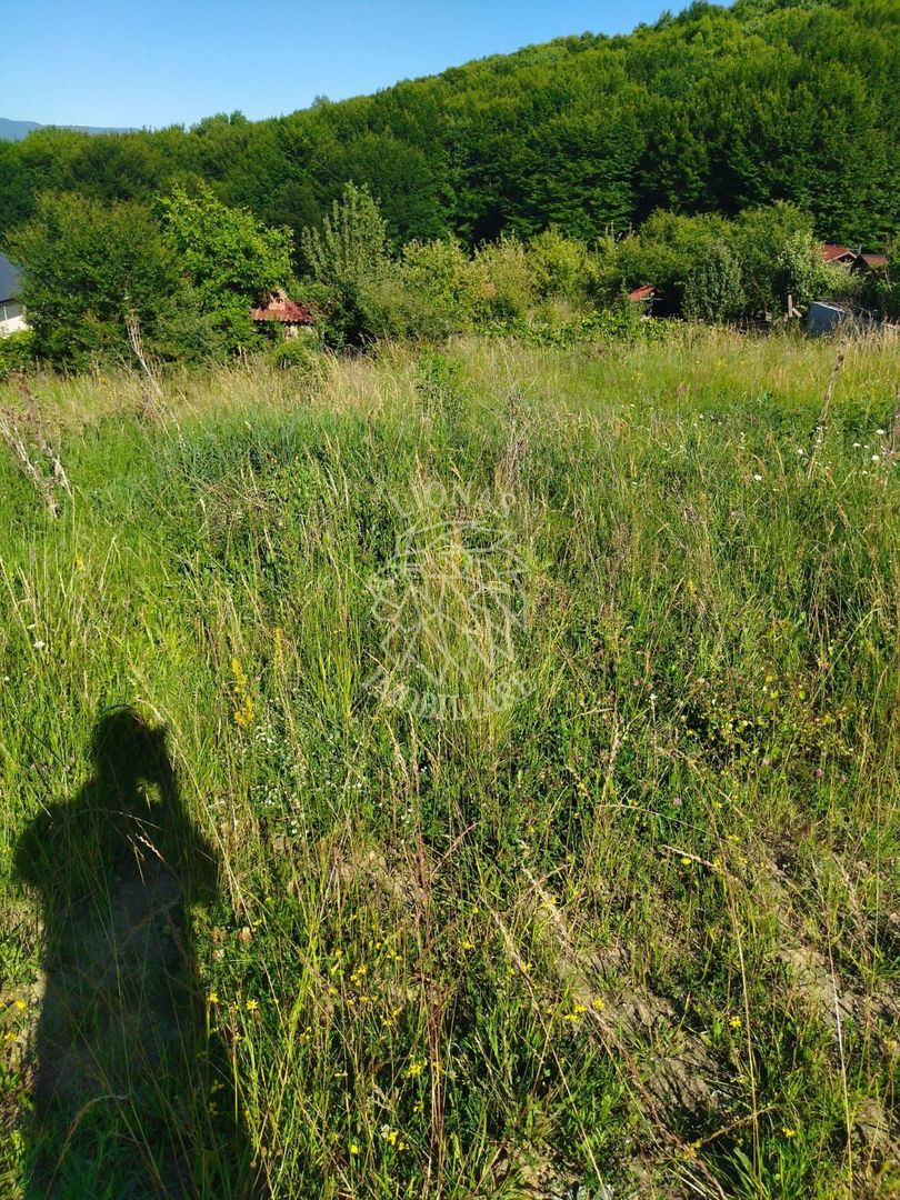 Teren 990 mp-ideal casa/casa de vacanta-panoramic-Zona Dealul Jelnei - Poză 1