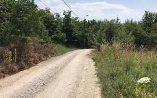 Teren De Vanzare, Zona Oarda de Sus, 2800MP - Poză 2