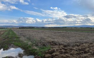 Teren Extralian | 50 de Ari | Horodnic de Sus - Poză 1