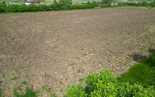 Teren Intravilan de 3,090 mp în Cuvin - Poză 11