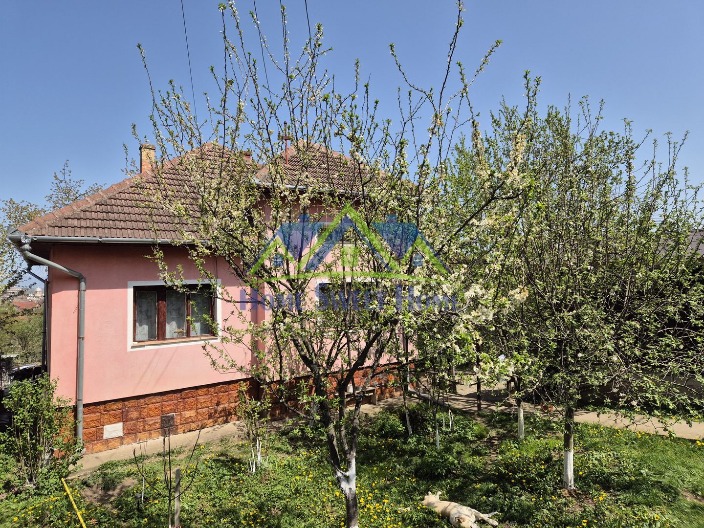 📍 Casă de vânzare Hunedoara – Zona Gheorghe Apostol, 3 camere, 400 mp - Poză 1