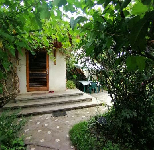 Casa 3 camere + Anexe, garaj, teren 2500 m2, an 1974, CT, Magurele, PH - Poză 5