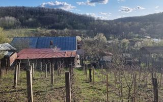 Casă P+M cu 1.558 mp teren, livadă și garaj | Barza, Gorj Comision 0%  - Poză 18