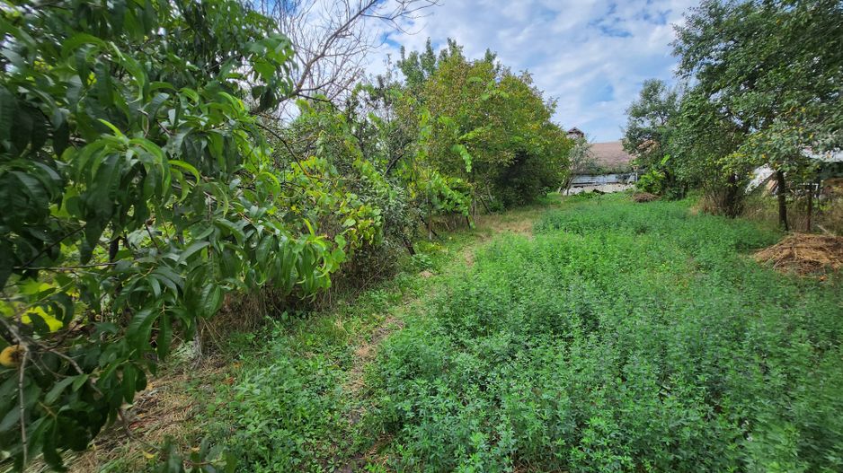 Casa P+M cu teren generos-Remetea - Poză 11